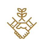 Energy & Environmental Audit